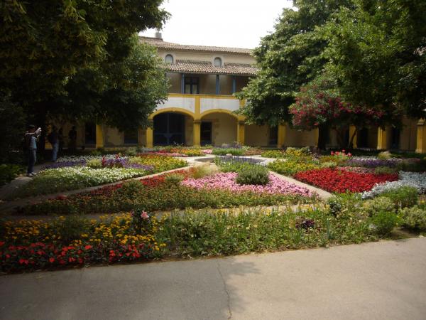 Van Gogh garden